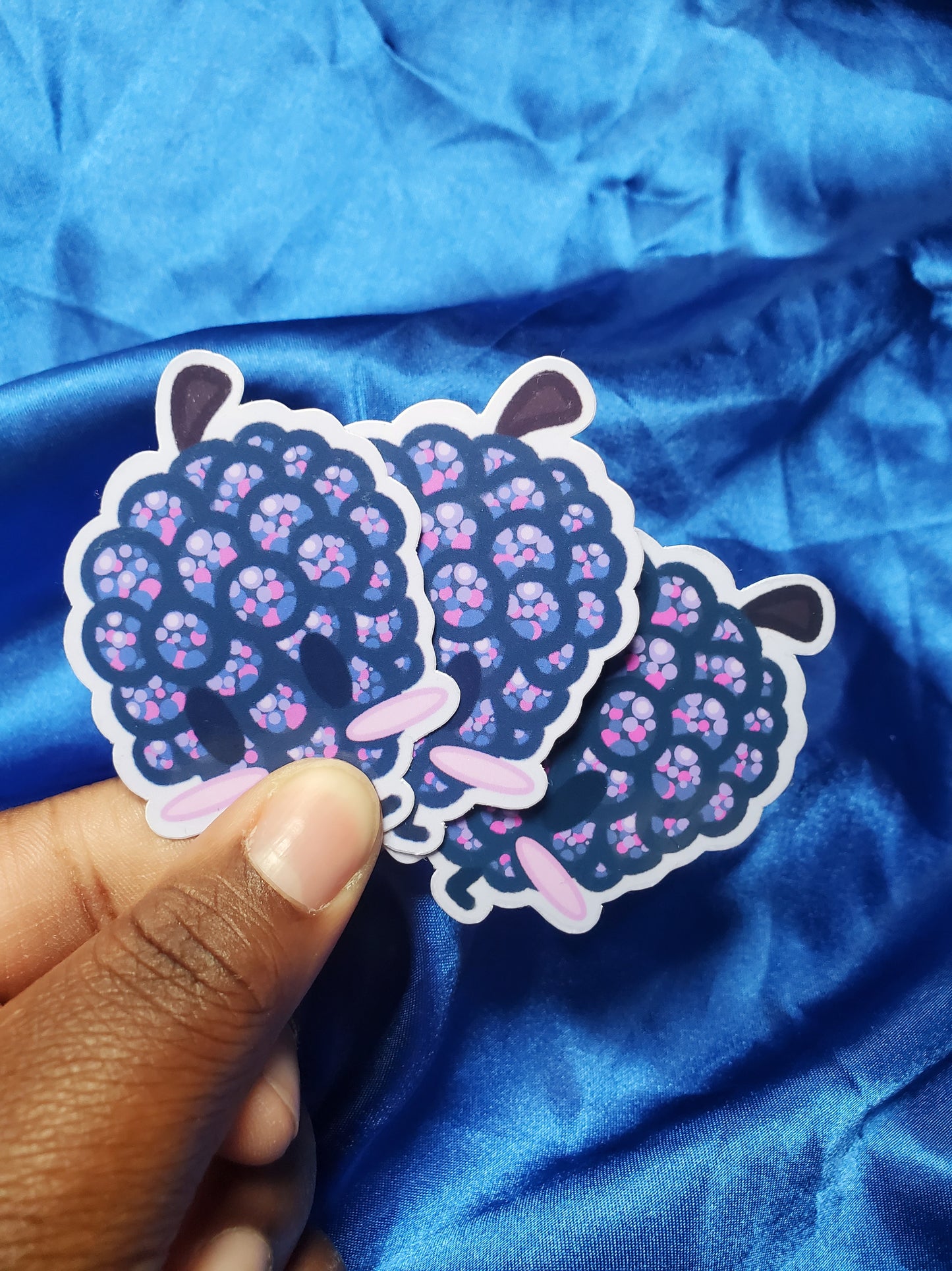 Raspberry Sticker