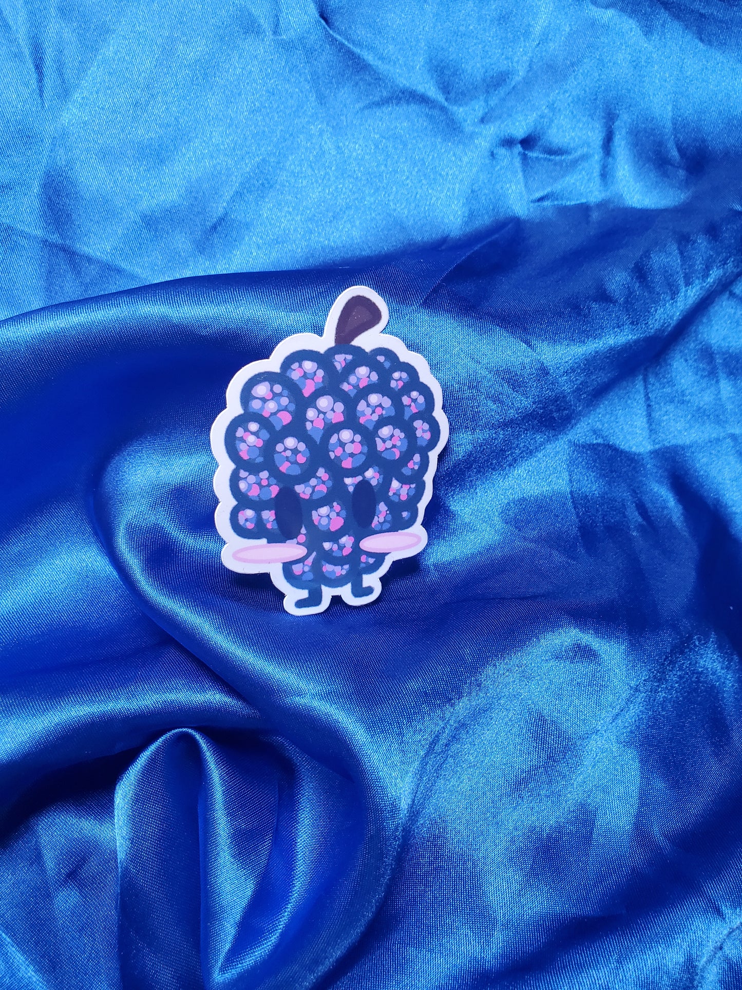 Raspberry Sticker