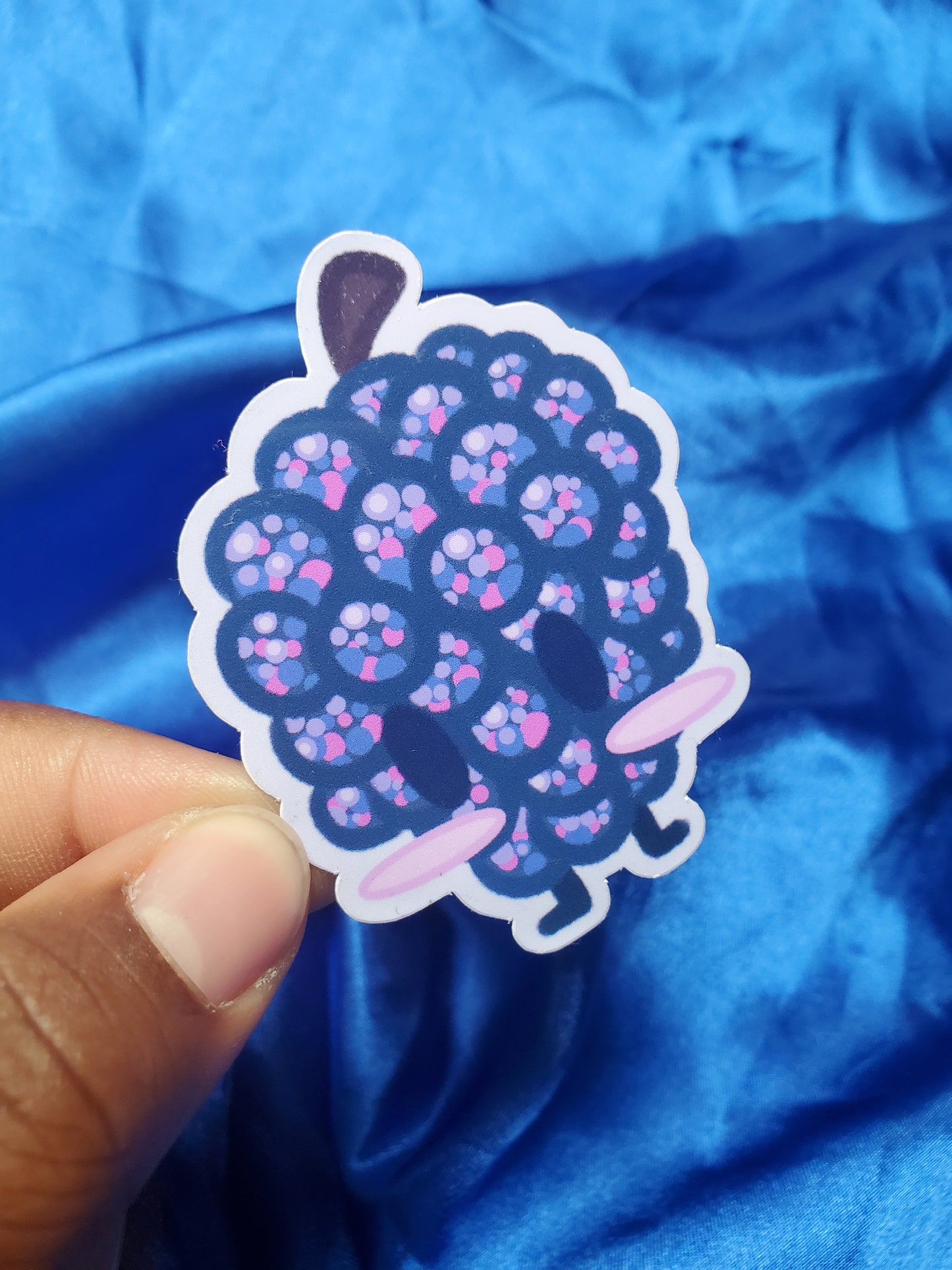 Raspberry Sticker