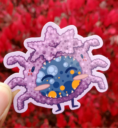 Fuzzy Spider Blueberry