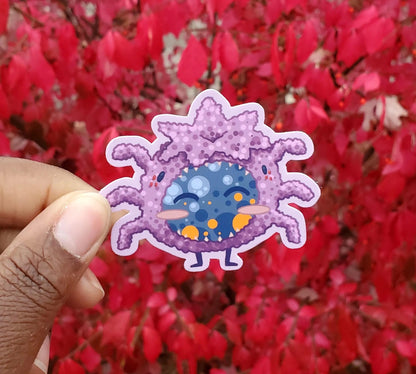 Fuzzy Spider Blueberry