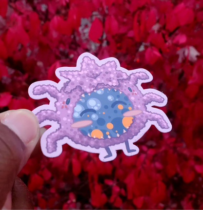 Fuzzy Spider Blueberry