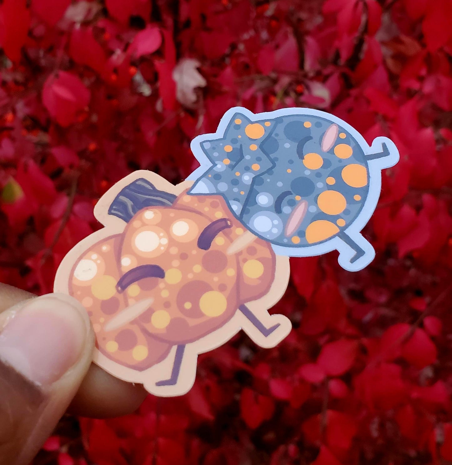 Blueberry and Pumpkin Group Hug