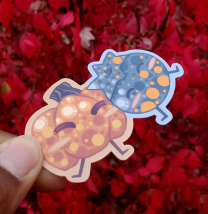 Blueberry and Pumpkin Group Hug